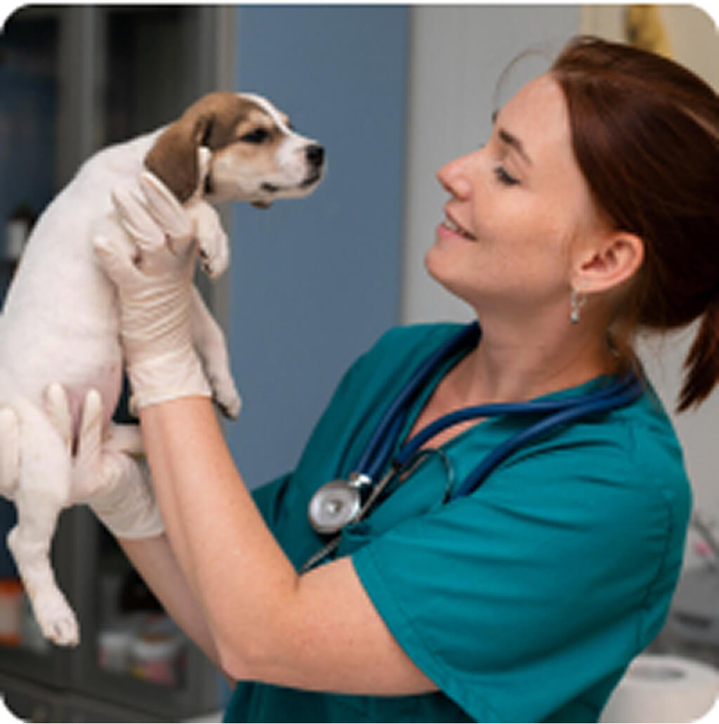 Katona Ramóna alapító