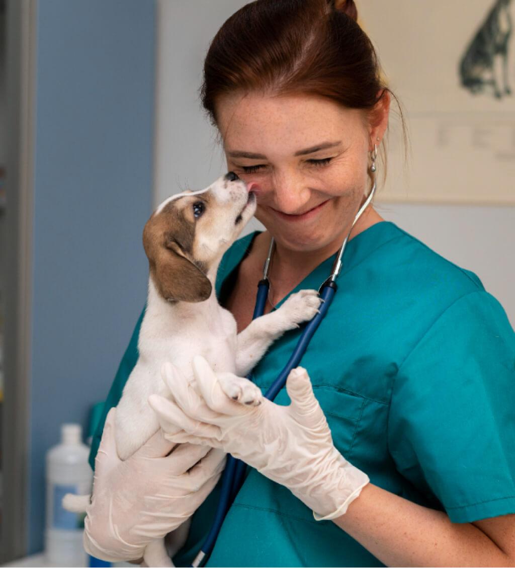 Alapító bemutatkozó